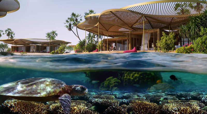 FI_coral_bloom_blends_hotels_with_nature