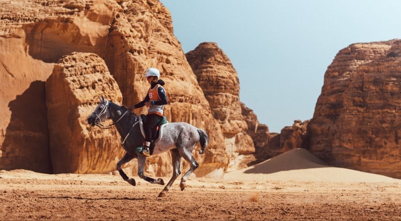 بطولة كأس الفرسان للقدرة والتحمّل