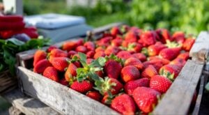 فعاليات نهاية الأسبوع في الرياض