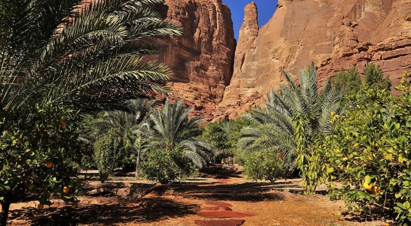 نادي أنابيلز لندن