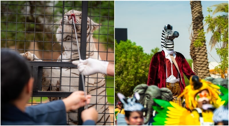 حديقة الحيوان في الرياض