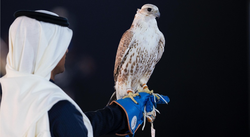 مهرجان الملك عبدالعزيز للصقور