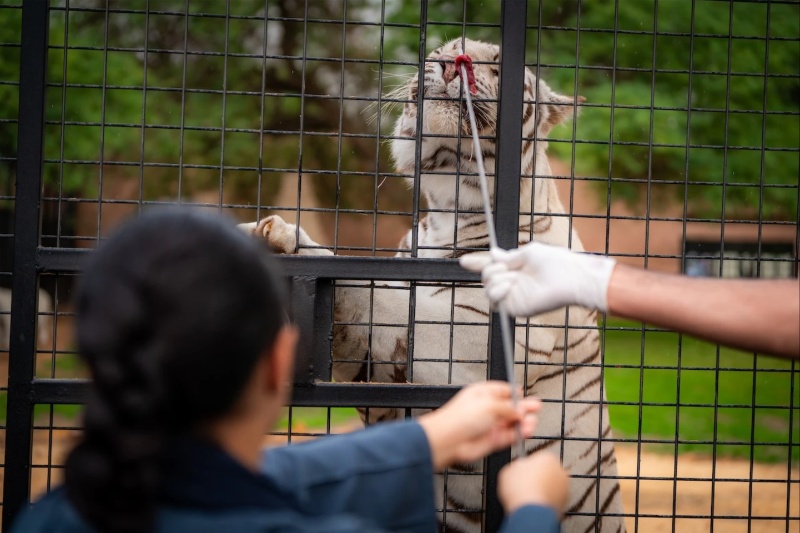 Riyadh Zoo