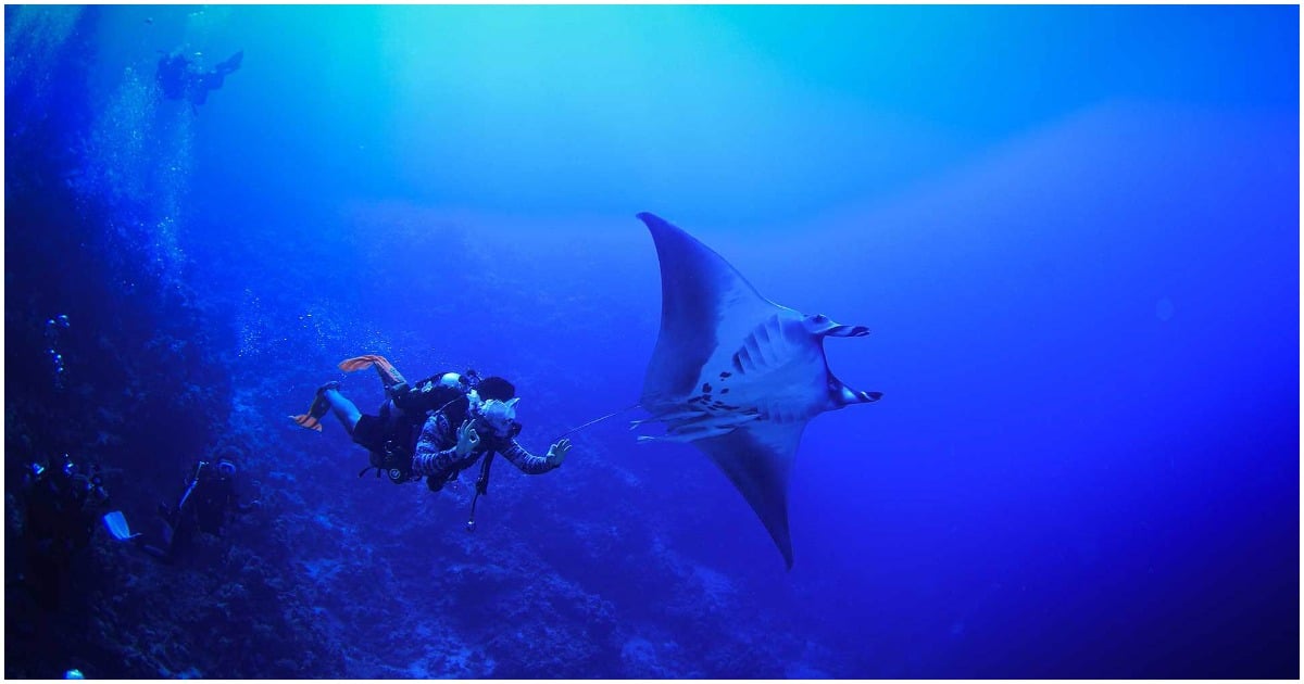 Discover the wonder of scuba diving in Jeddah Whats On Saudi Arabia