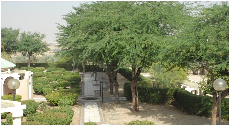 Green Riyadh project