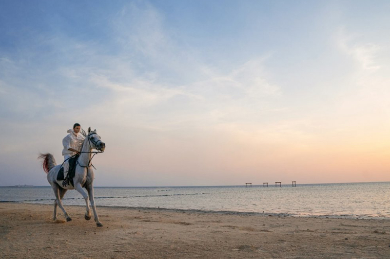 Horse riding jeddah