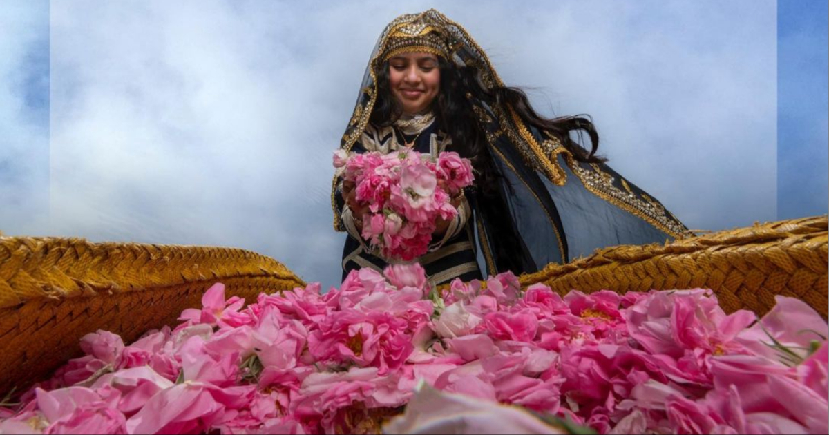 The Taif Rose Festival is back for 2024