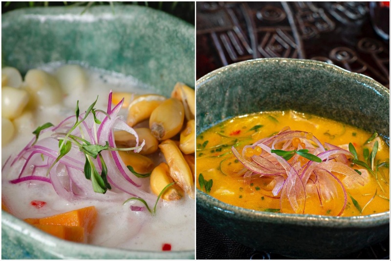 COYA ceviches