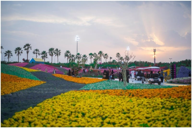 Yanbu Flowers Fest