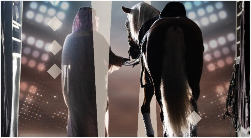 Asayel Horse Show
