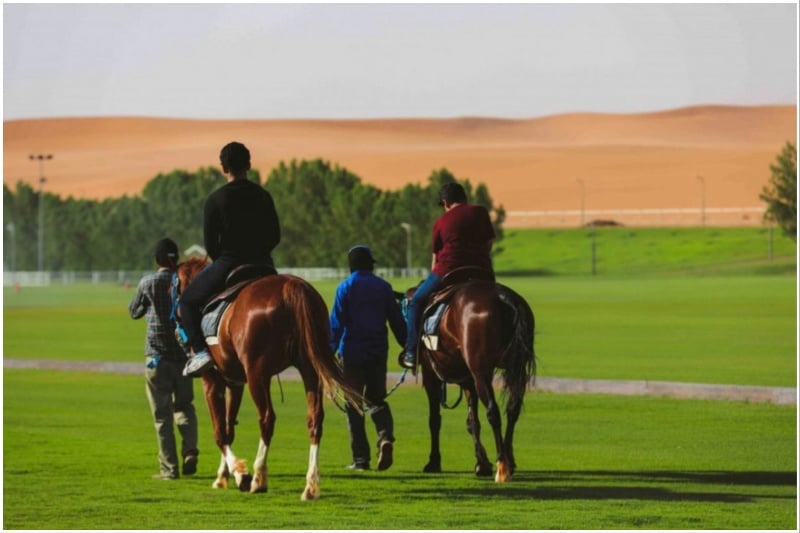 NOFA horseback safari