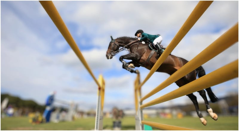 equestrian show jumping