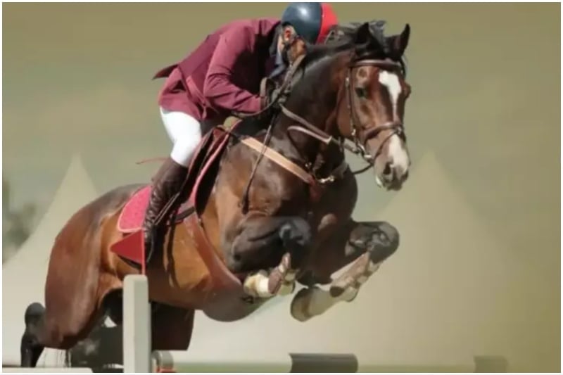 AlGharaa Show Jumping