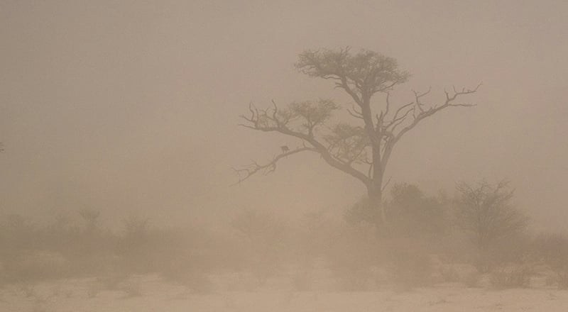 dust storm