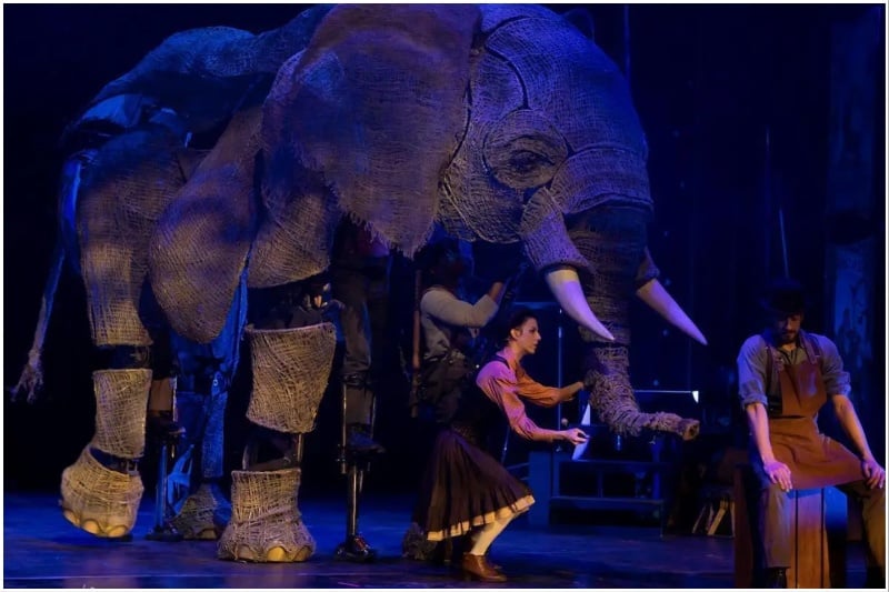 Circus 1903