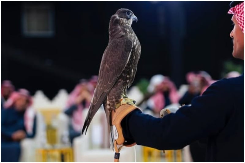 Saudi Falcons Club