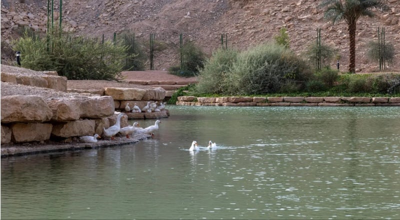 Shayb Ghudwanah Park in Riyadh