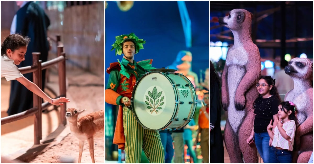 Forest Wonders by Jeddah Season has just opened its doors