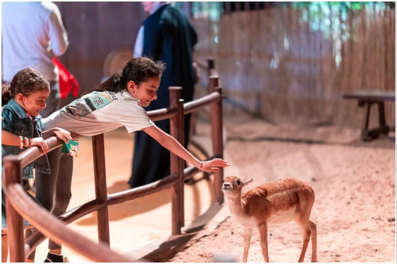 Forest Wonders Jeddah