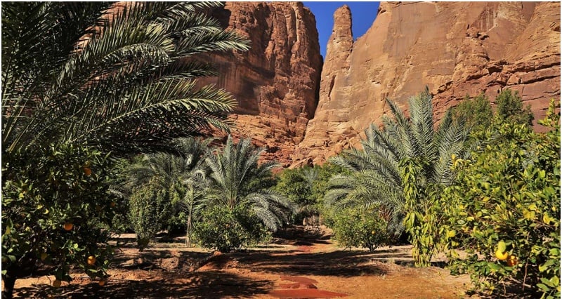 AlUla Oasis