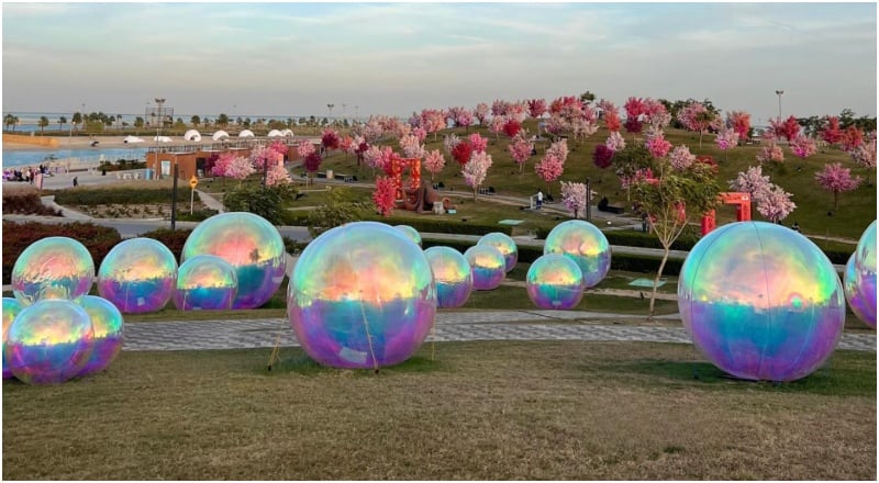 Wonder Hills Festival