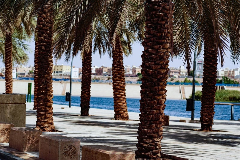 outdoor barbecue spots in Riyadh