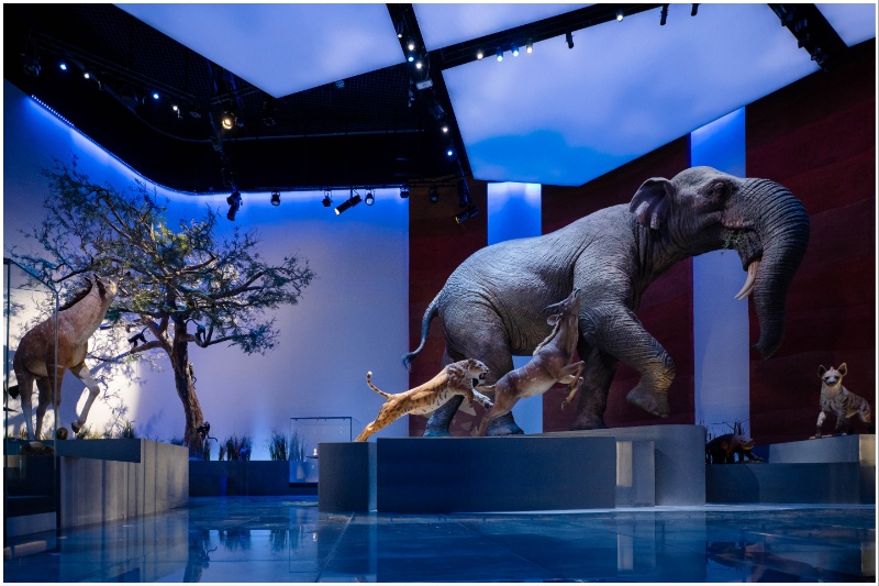 Arabia's Climate with Act 1B - The Evolving World – Cenozoic