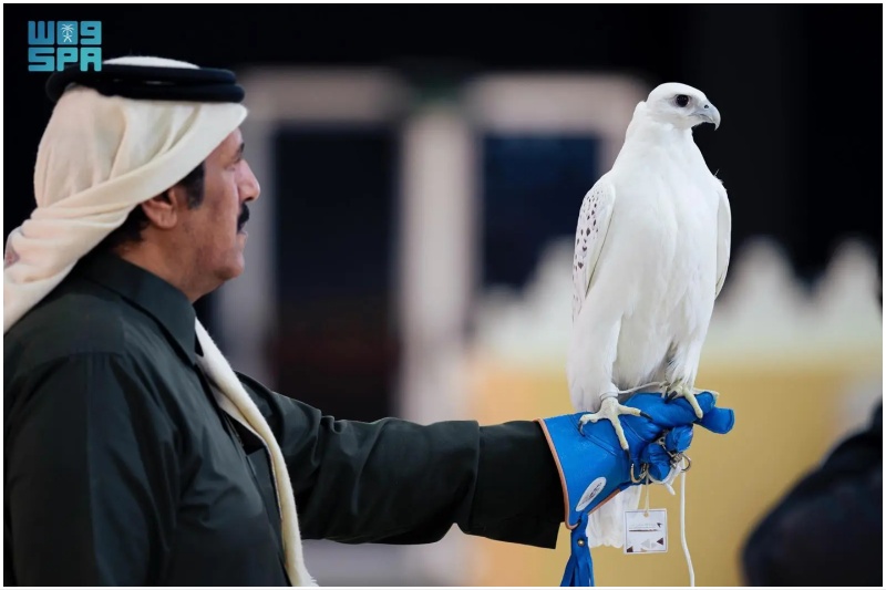 King Abdulaziz Falconry Festival
