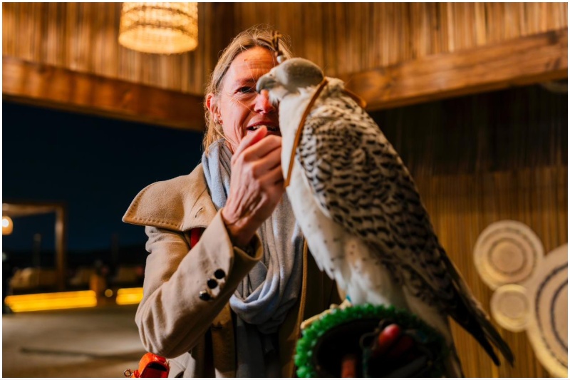 Minzal falconry