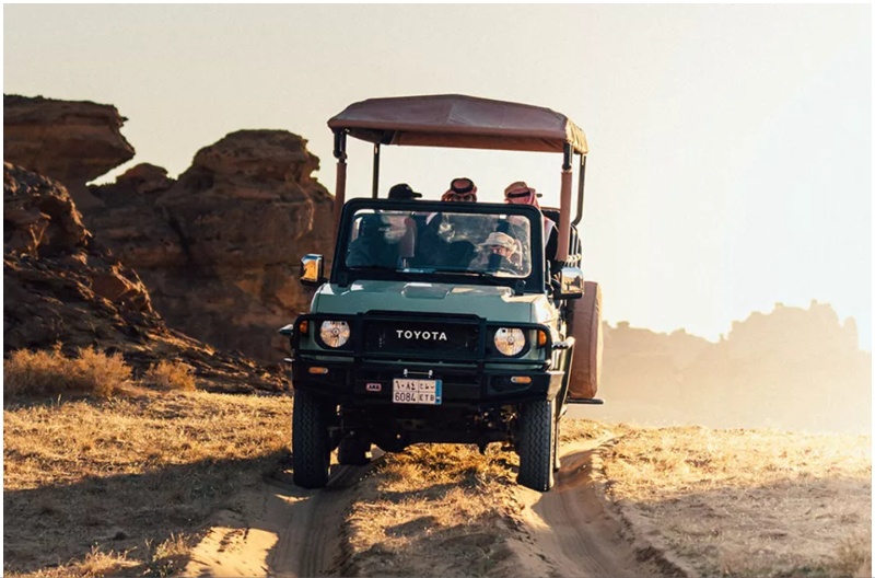Hegra Wildlife & Nature Tour
