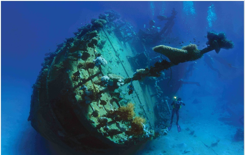Sunken Treasures Red Sea Museum