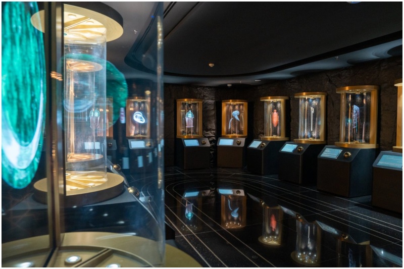 International Fair and Museum of the Prophet’s Biography