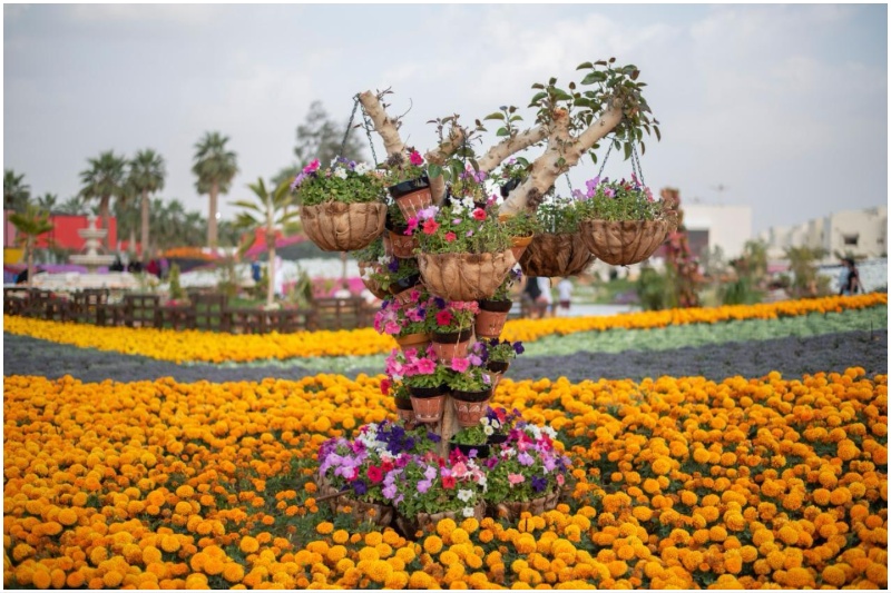 Yanbu Flower Festival