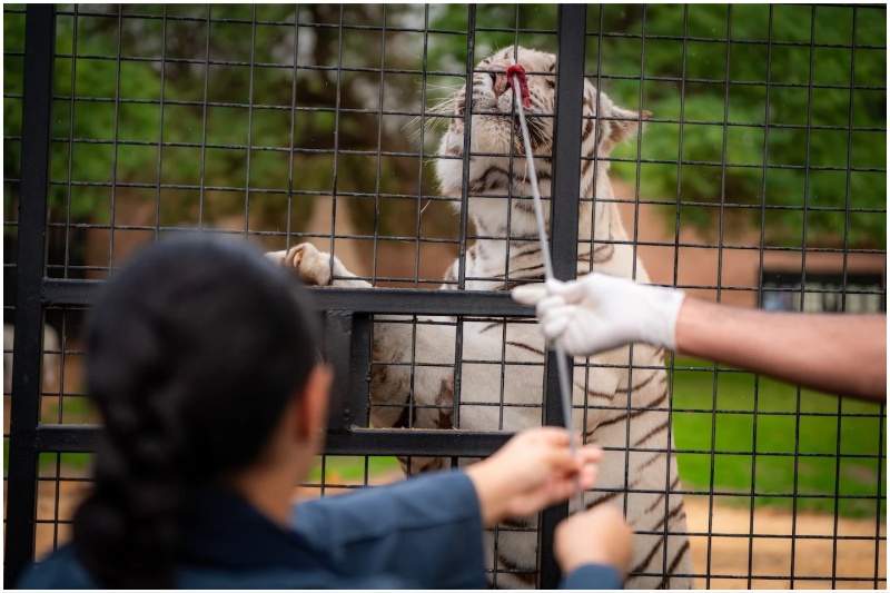Riyadh Zoo