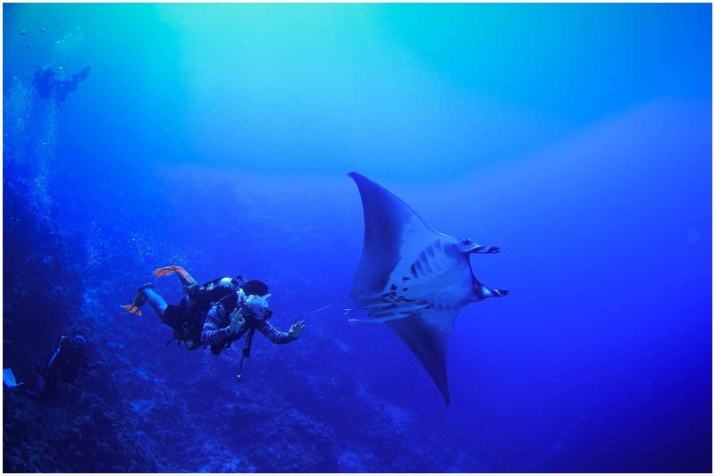 Scuba-diving Jeddah