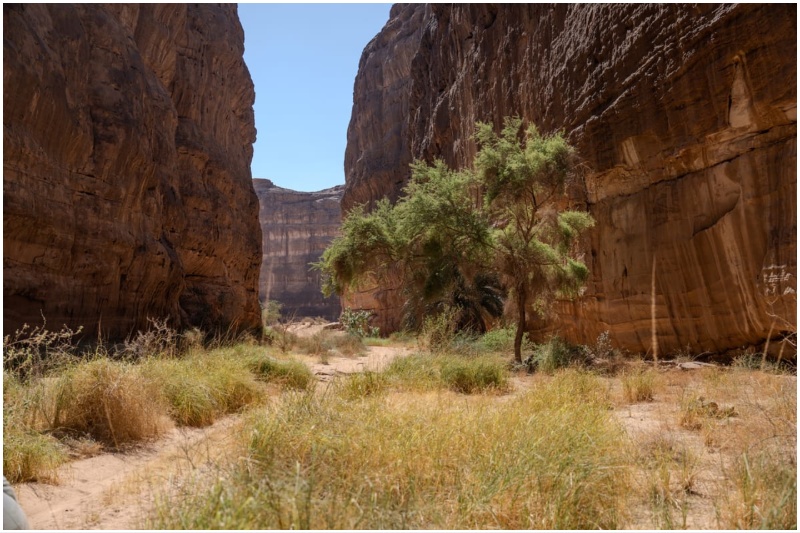 Sharaan Nature Reserve