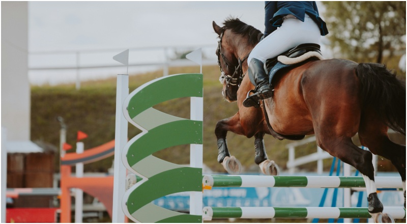 Unsplash_horse showjumping