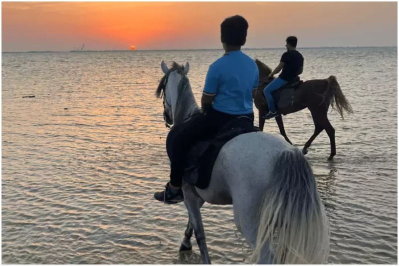 beach horse riding
