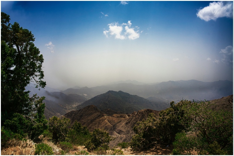 Unsplash Abha